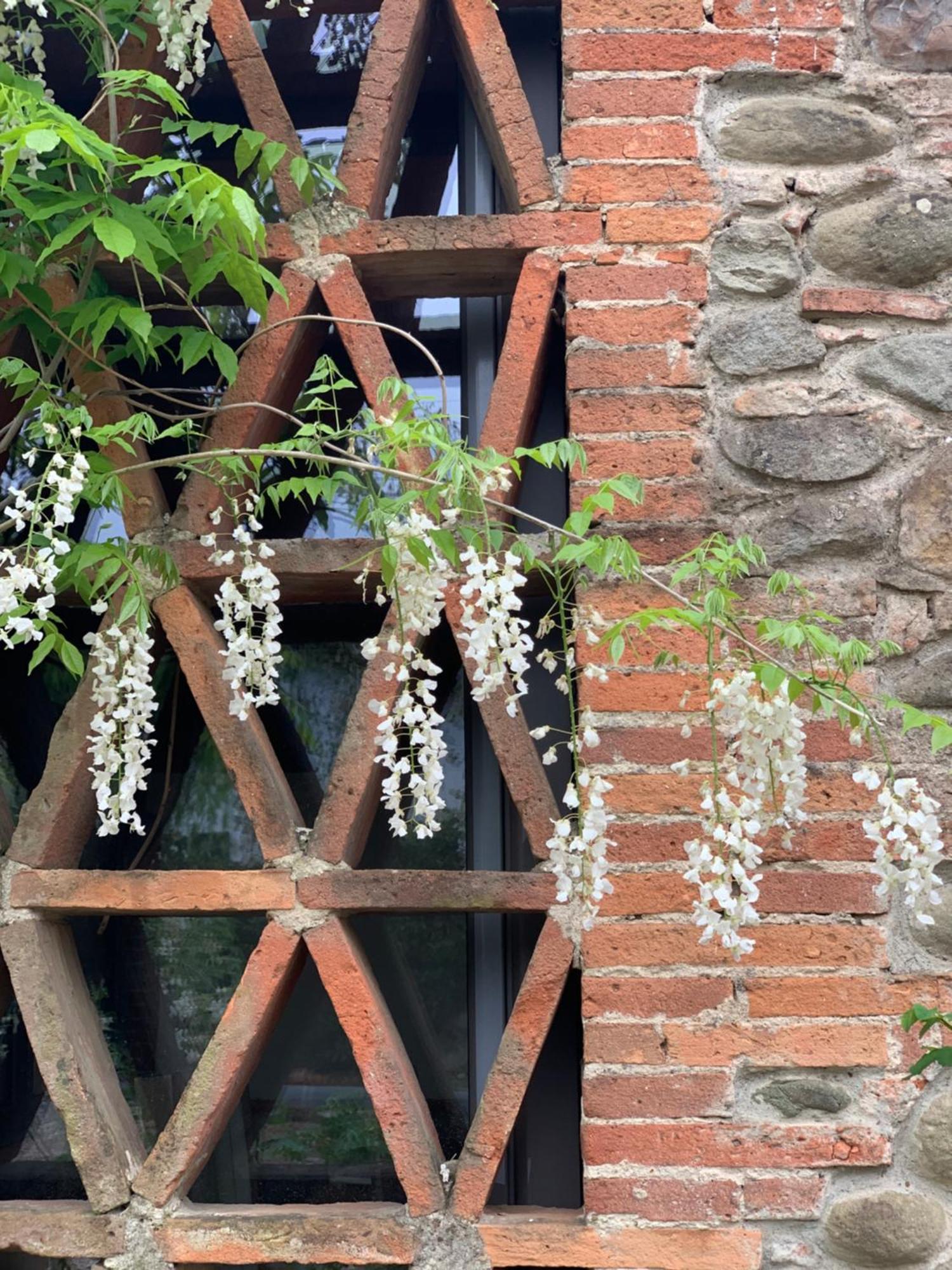 Casale La Gora - B&B Di Charme 菲利内瓦尔达诺 外观 照片