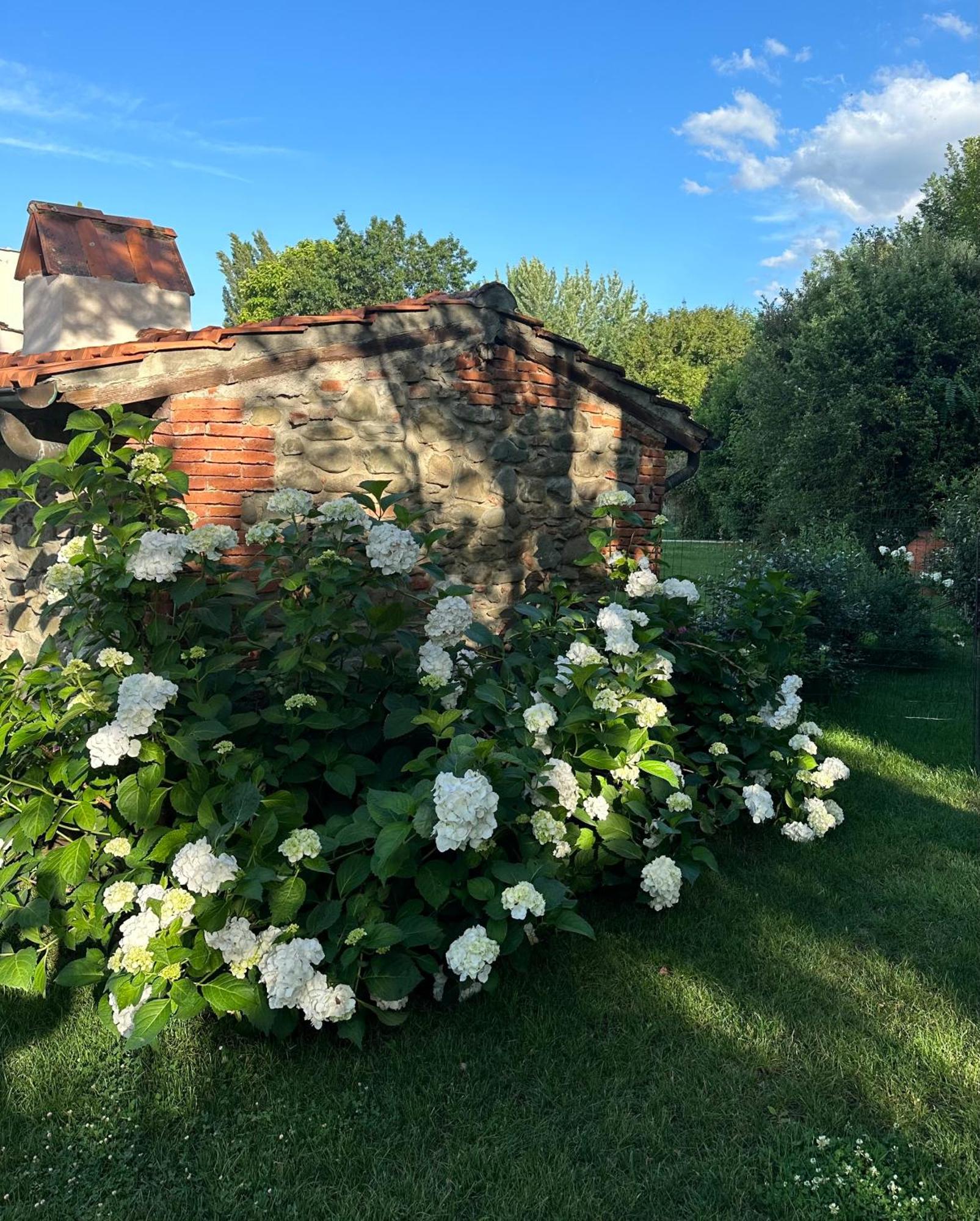 Casale La Gora - B&B Di Charme 菲利内瓦尔达诺 外观 照片